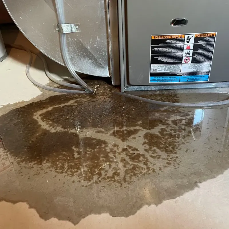 Pipe Burst and Leak Restoration in Bedford, PA