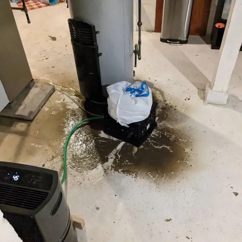 Sewage Backup Cleanup Service in Bedford, PA